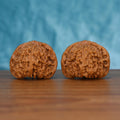 Pair of wenwan walnuts with deeply wrinkled brain-like surface and wide flat dome form, front view on wooden surface with blue background
