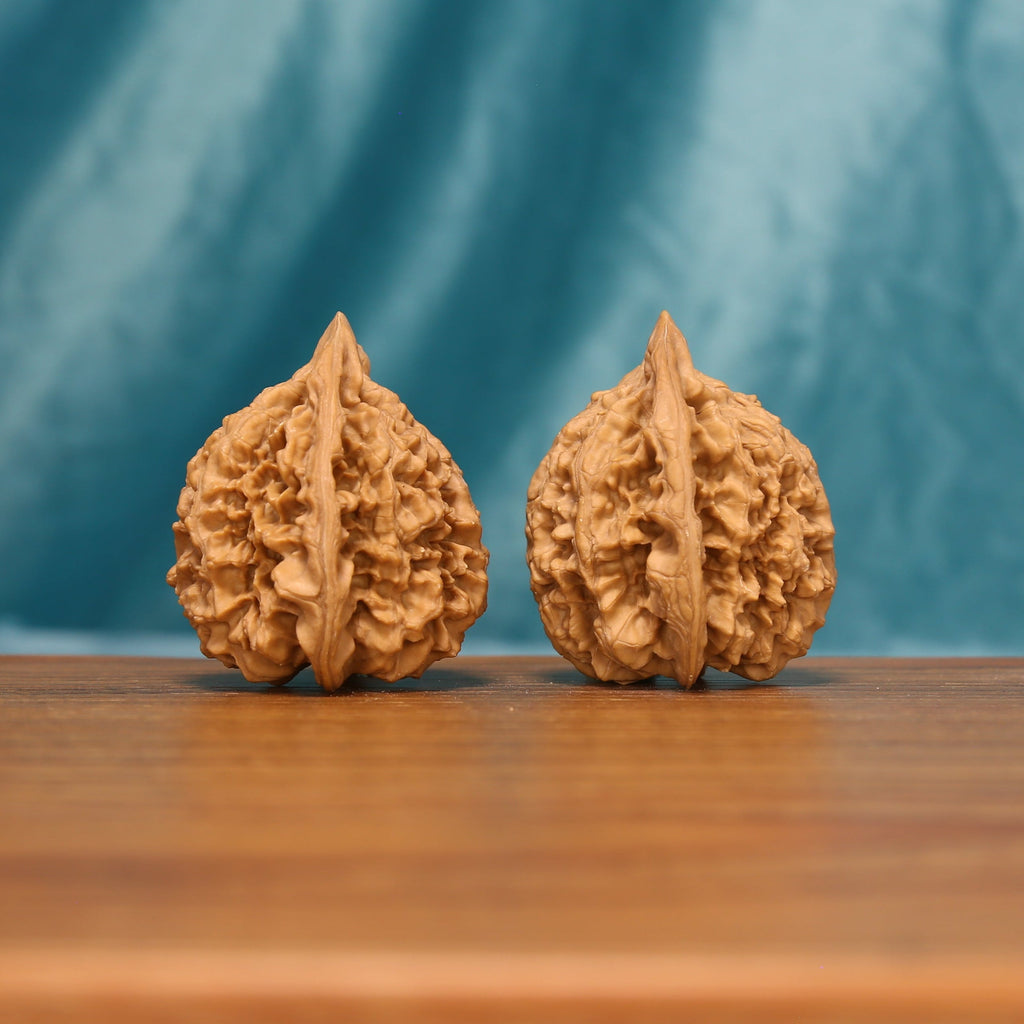 L22 Wenwan walnuts shown side by side from another angle, highlighting their tapered forms and natural grooves.
