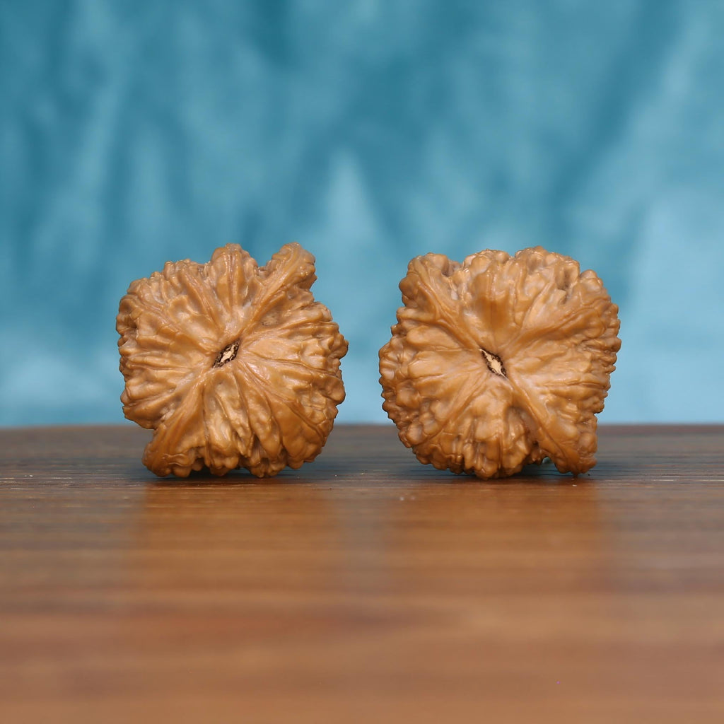 Wu-Ming walnut pair bottom view on wood – natural nameless base pattern, Awakening Sphere premium set