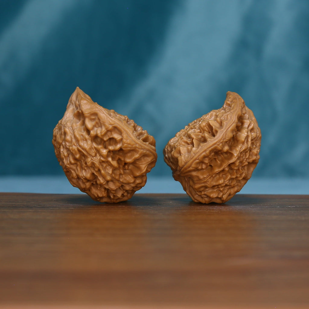 Angled view of two 1715 wenwan walnuts showing their curved profiles
