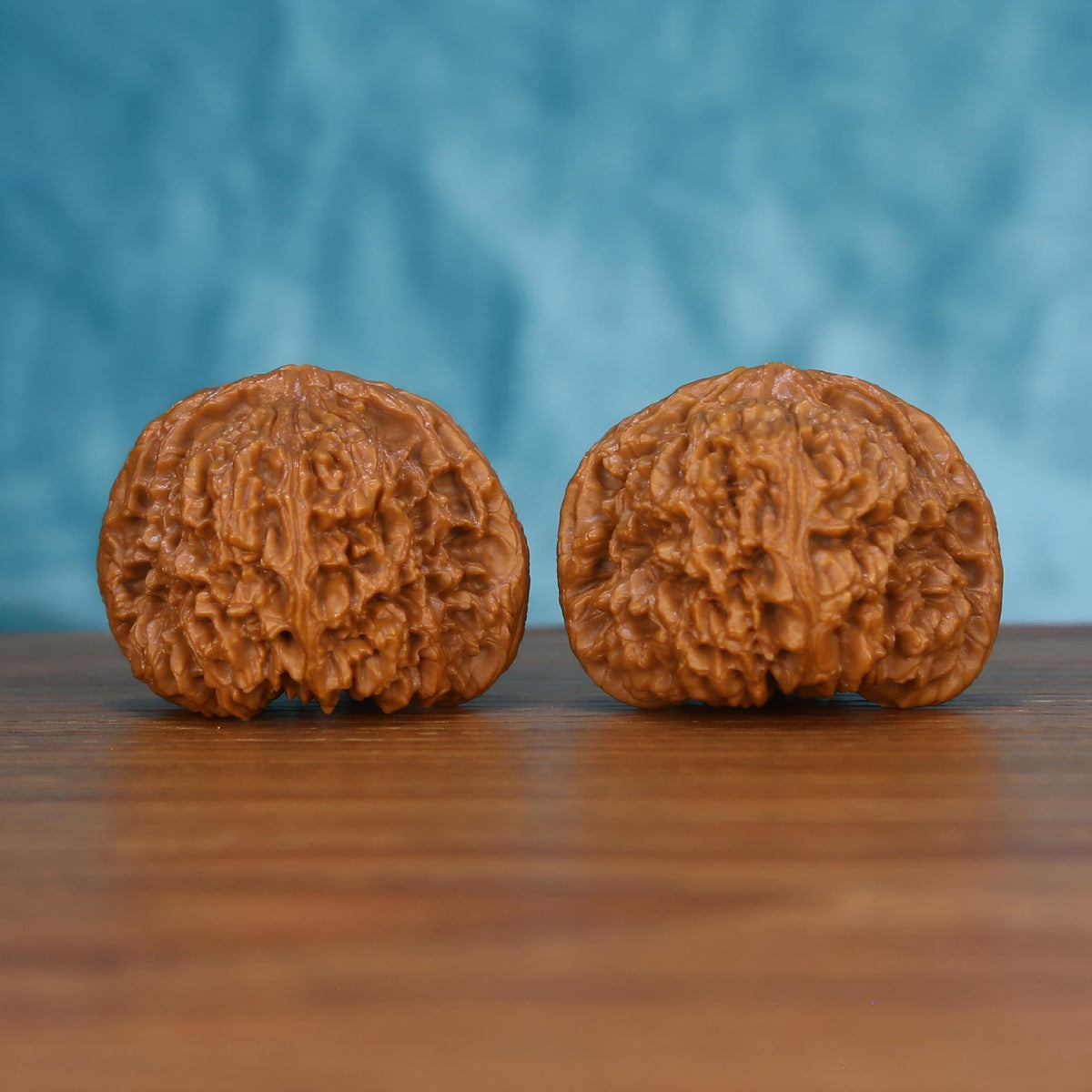 Pair of wenwan walnuts with dense layered wrinkled texture and broad rounded form, front view on wooden surface with blue background
