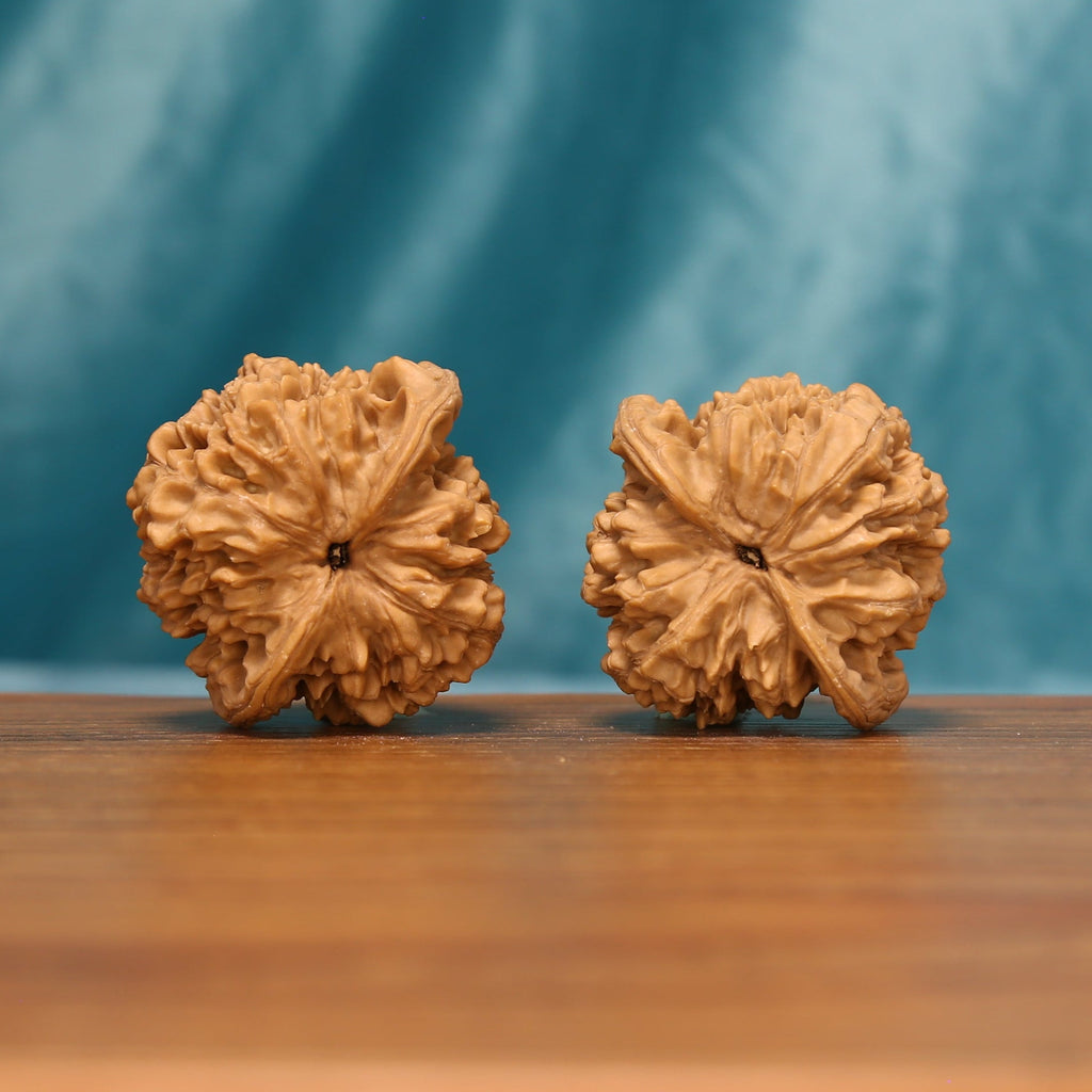 L22 Wenwan walnut pair shown from below, highlighting the flower-like base patterns and radiating ridges.
