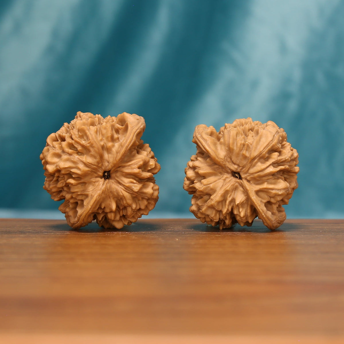 L22 Wenwan walnut pair shown from below, highlighting the flower-like base patterns and radiating ridges.
