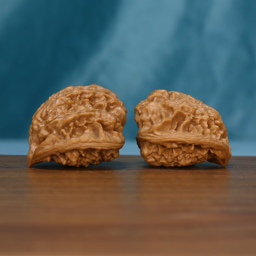 Opposite side view of two 1715 wenwan walnuts with textured surfaces
