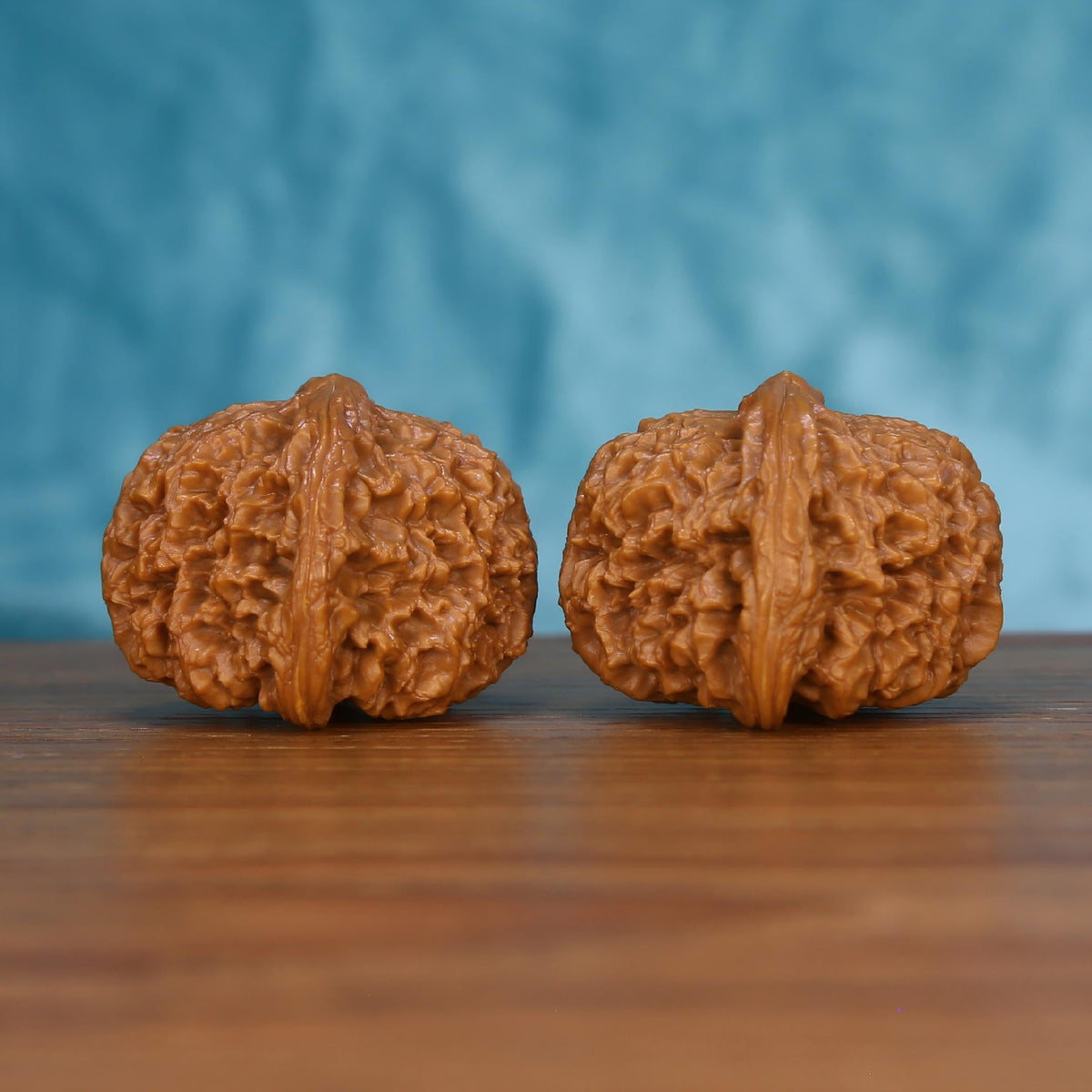 Pair of wenwan walnuts with bold raised vertical seam and irregular wrinkled surface, side view on wooden surface with blue background
