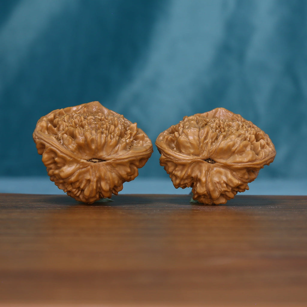 End view of the 1715 wenwan walnut pair showing natural ridges
