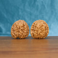 Pair of General Wenwan walnuts standing upright on a wooden surface against a blue background

