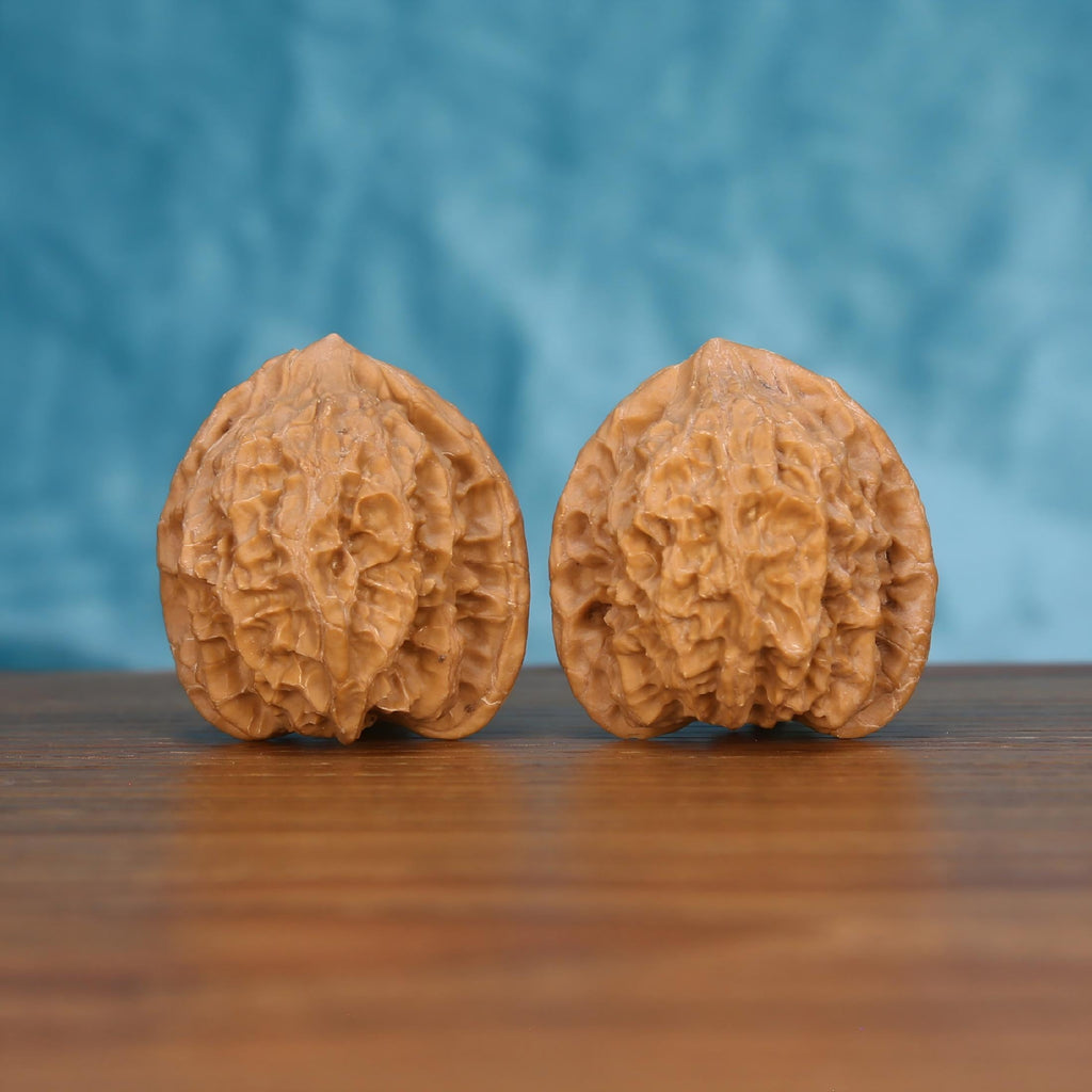 Two Long-Ji wenwan walnuts on wooden surface, blue fabric background – matching mythic spine set