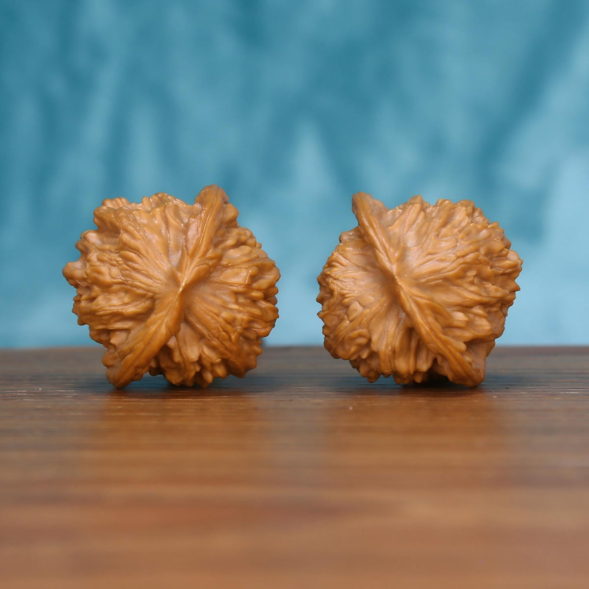 Single Wu-Ming wenwan walnut bottom view on wooden surface – natural base and nameless texture detail