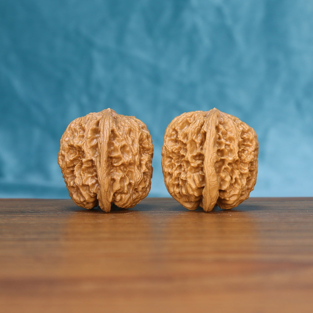Three-quarter view of two General Wenwan walnuts showing deep sculptural ridges
