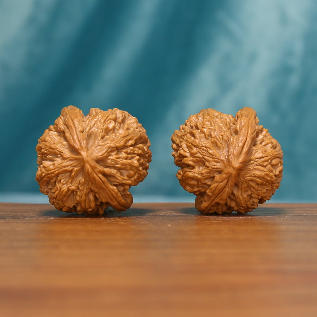 The Emberstone Twins L37 walnut pair showing rounded sides and organic texture
