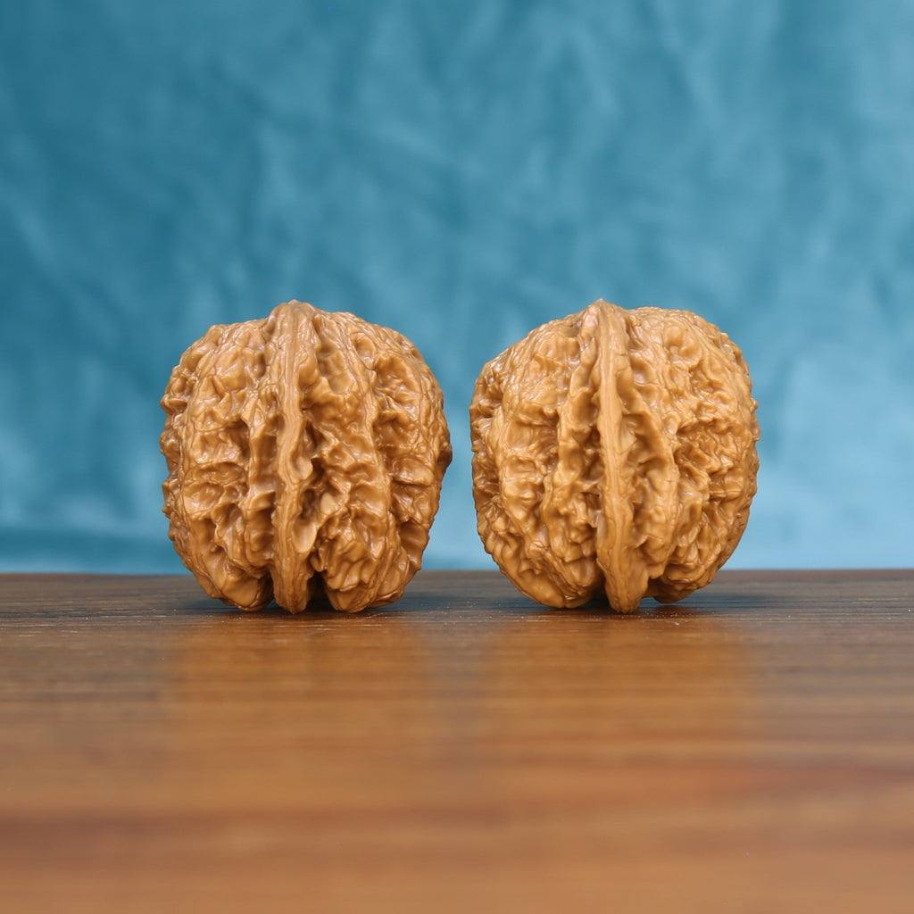 Side view of a General Wenwan walnut pair on a wooden surface
