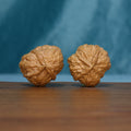 Pair of S1314 Iron-Skin Three-Ridge wenwan walnuts showing raised ridges and branching grooves

