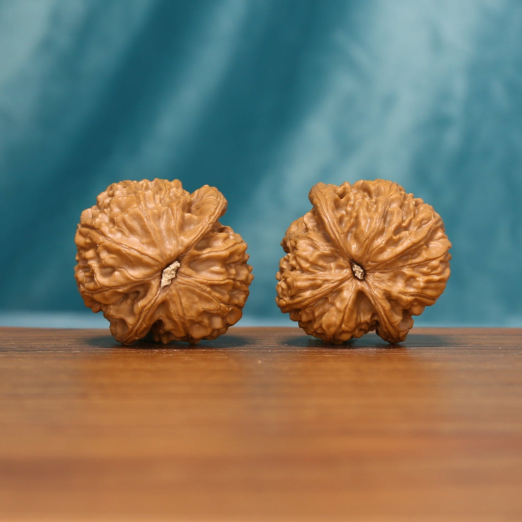 The Emberstone Twins L37 wenwan walnut pair, rotated view showing deep ridges
