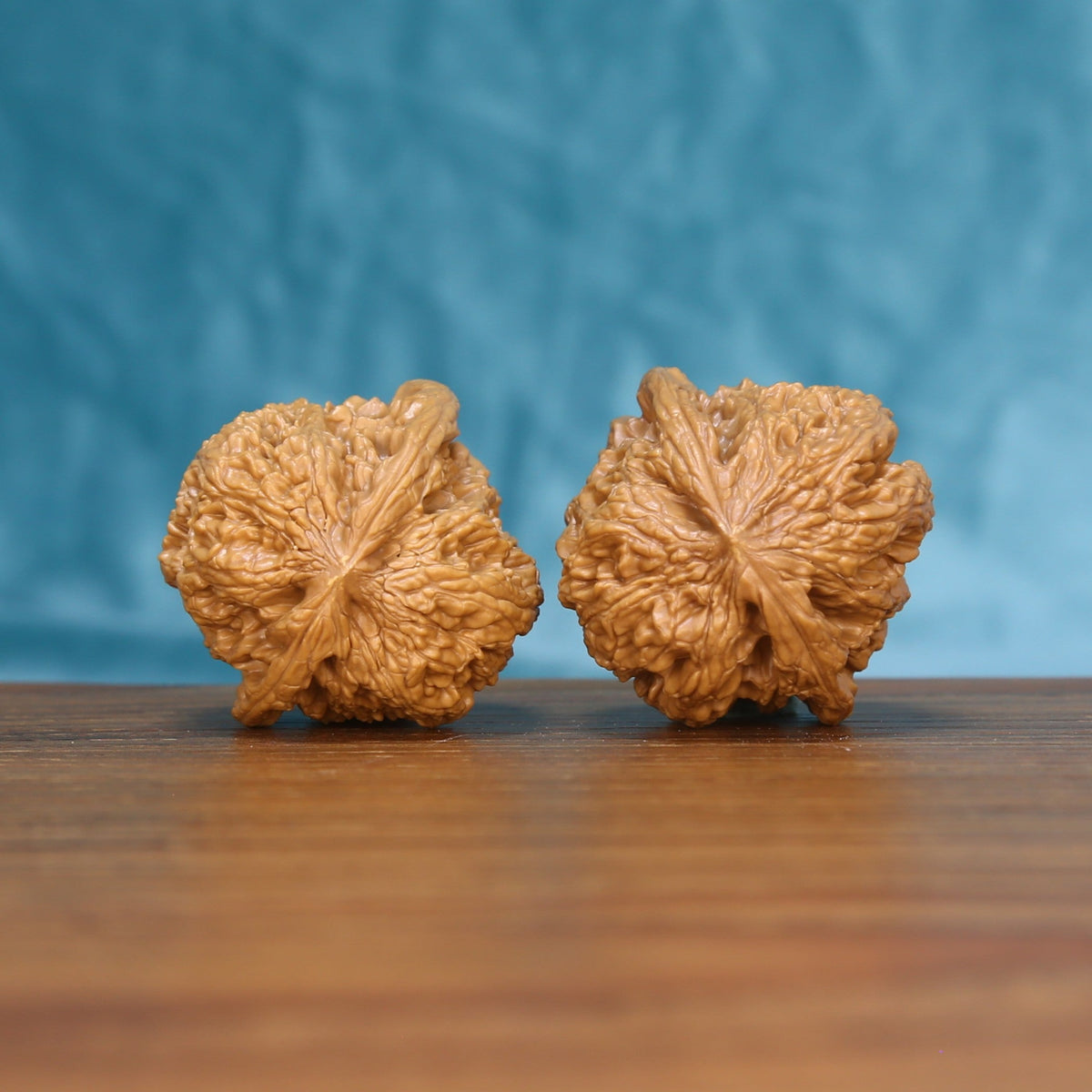 Back view of two General Wenwan walnuts showing distinct natural shell patterns
