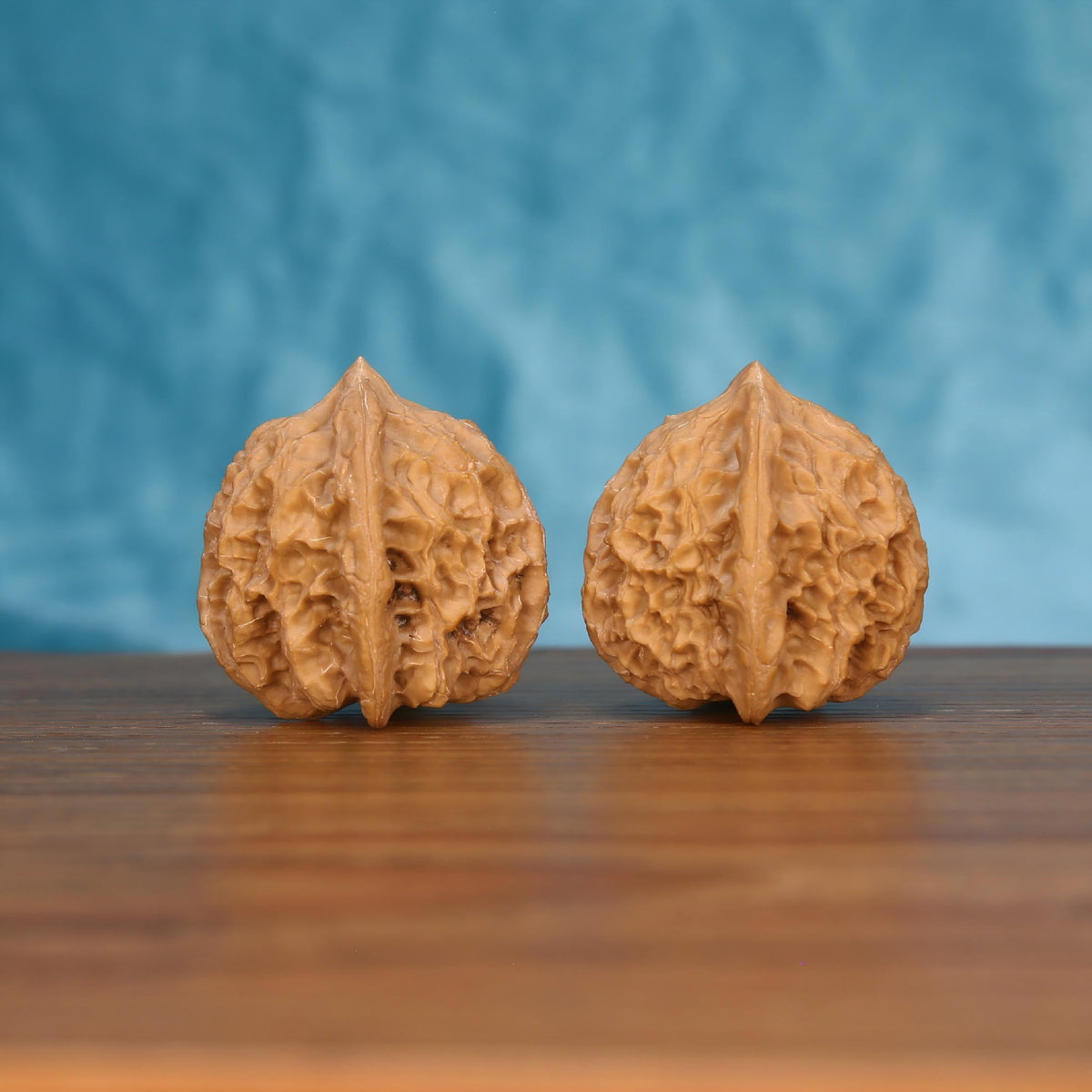  Single Long-Ji wenwan walnut on wooden surface, blue background – bold mythic dragon spine natural texture close-up