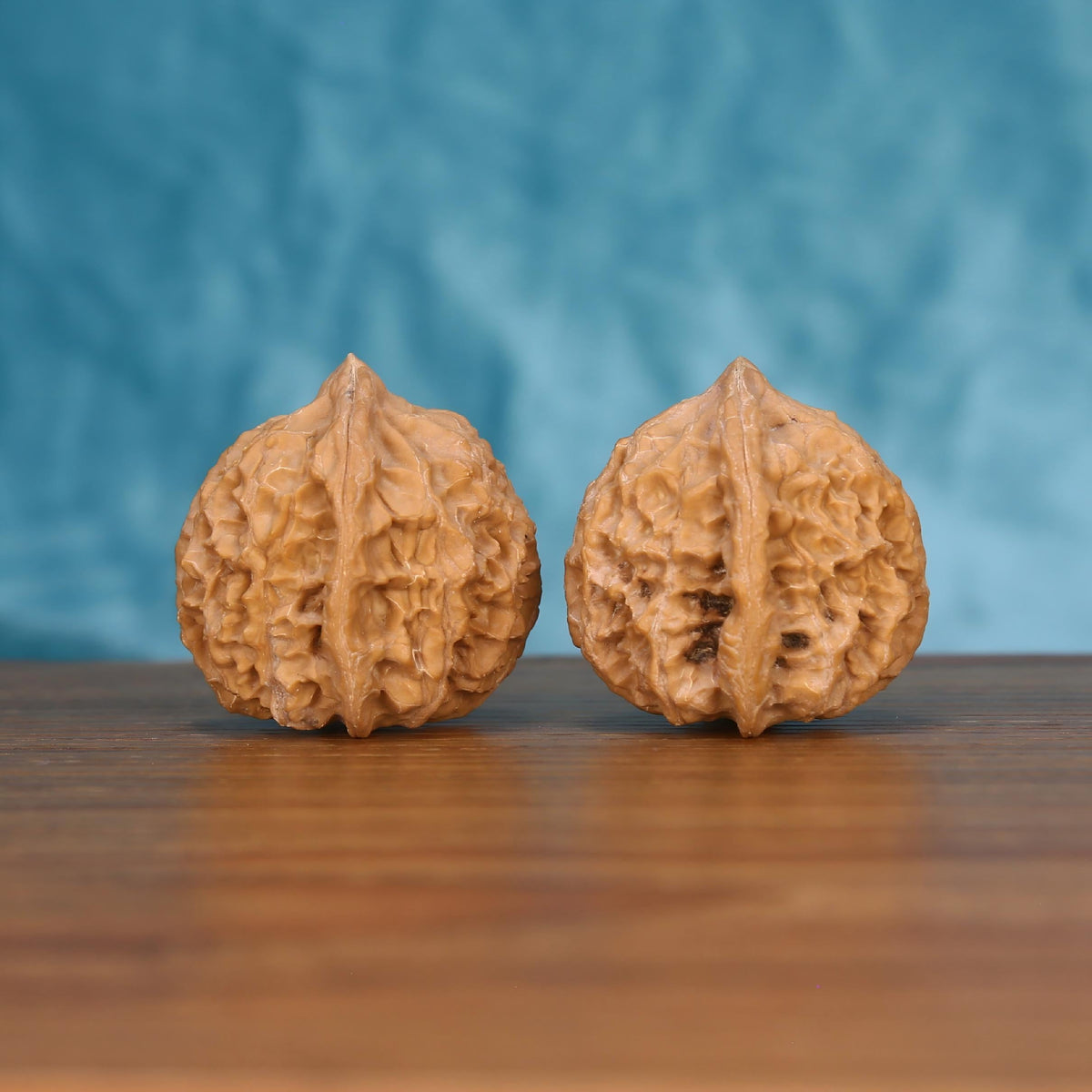 Long-Ji wenwan walnut pair alternate angle, blue background – symmetrical mythic spine ridge pattern