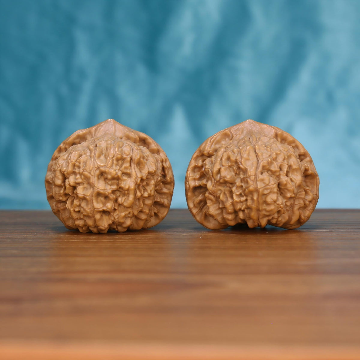 Wu-Ming wild walnut set side profile on wood, blue background – sentinel grip natural grain detail