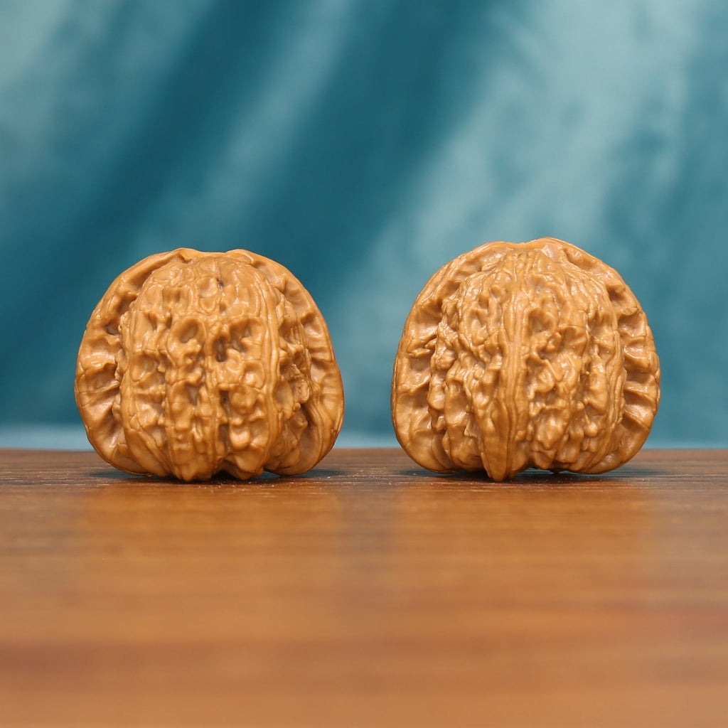 Front view of The Golden Basin Wenwan Walnut Set with two low-profile rounded walnuts and dense natural ridges.
