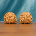 Front view of The Golden Basin Wenwan Walnut Set with two low-profile rounded walnuts and dense natural ridges.
