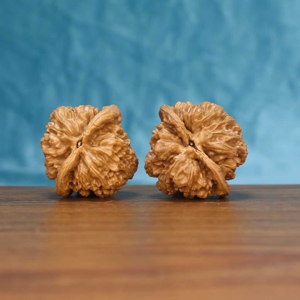 Bottom view of a matched General Wenwan walnut pair showing natural base details
