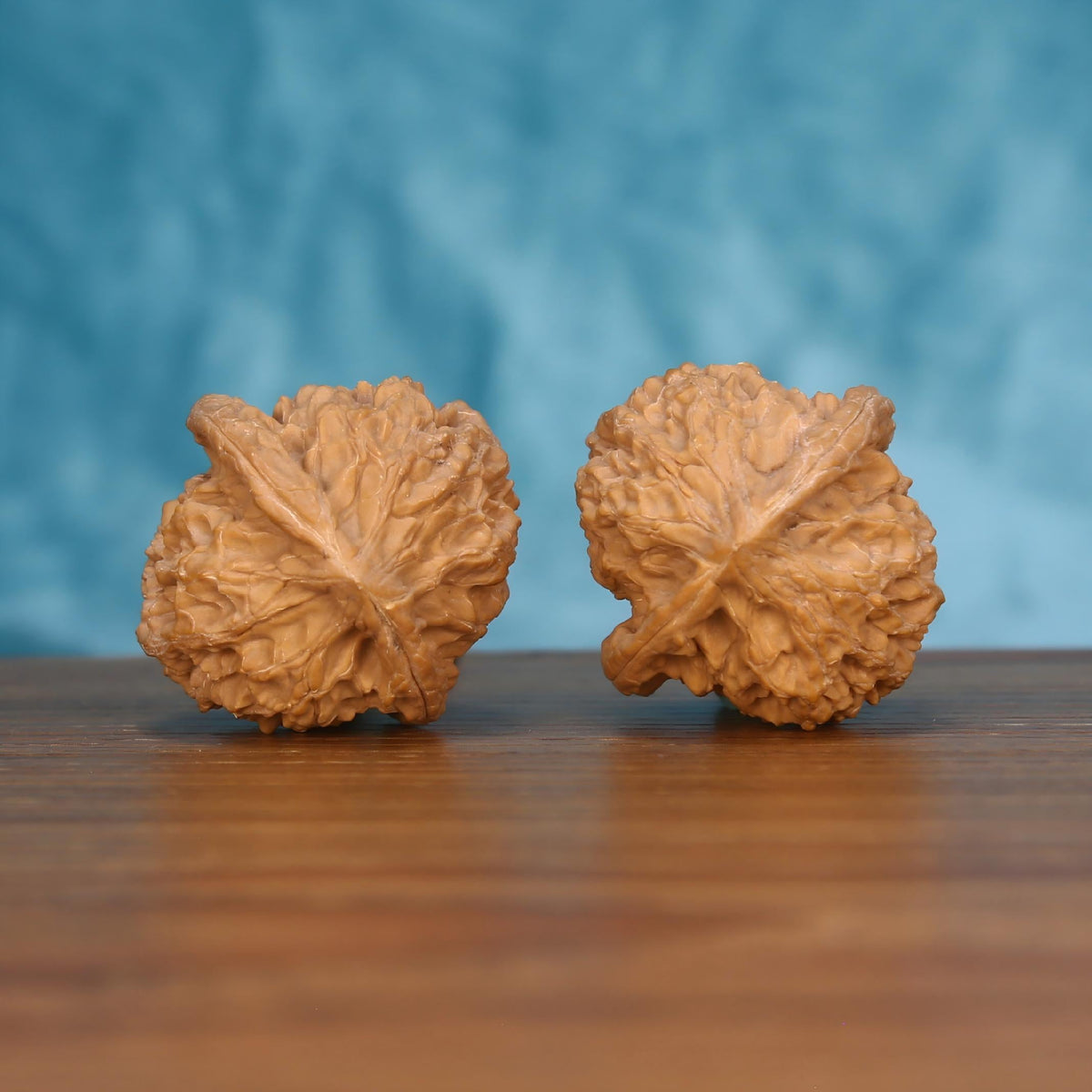 Single Long-Ji wenwan walnut bottom view on wooden surface – natural base and dragon spine texture detail