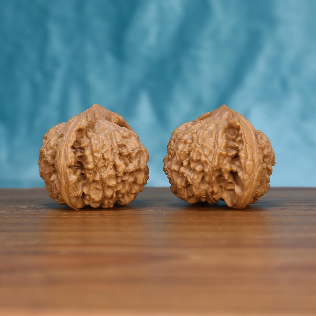 Single Wu-Ming wild wenwan walnut on wooden surface, blue background – rare nameless wild natural texture close-up