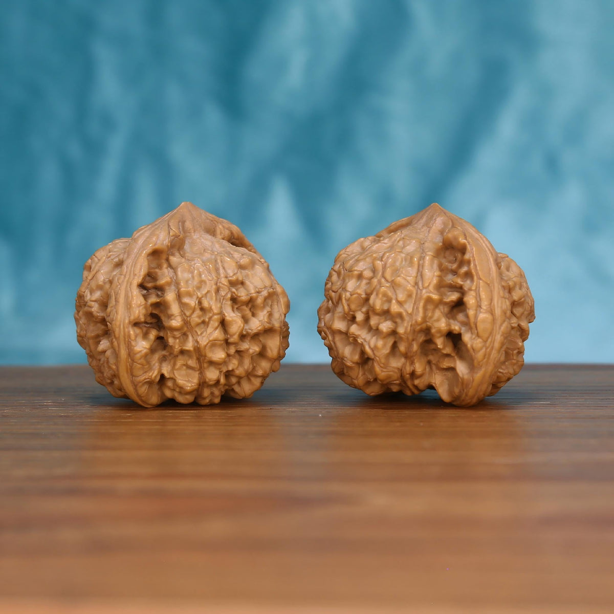 Single Wu-Ming wild wenwan walnut on wooden surface, blue background – rare nameless wild natural texture close-up