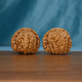 Pair of S46 White Lion wenwan walnuts with deep grooves and raised ridges
