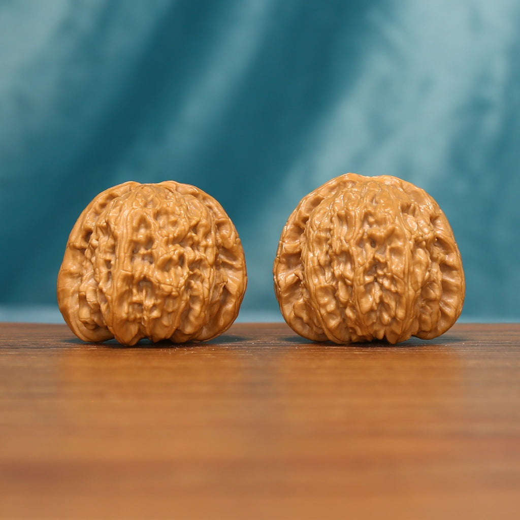 Angled front view of The Golden Basin Wenwan walnuts showing their warm color and richly textured surfaces.
