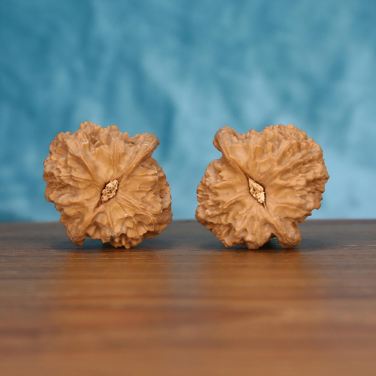  Long-Ji walnut pair bottom view on wood – natural dragon spine base pattern, Mythic Spine premium set