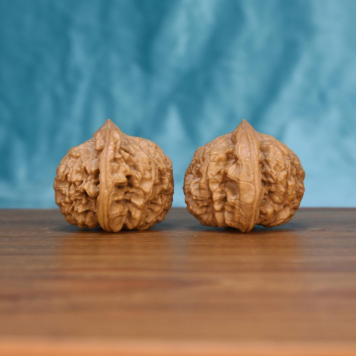 Wu-Ming wild wenwan walnut pair alternate angle, blue background – symmetrical sentinel's grip ridge pattern