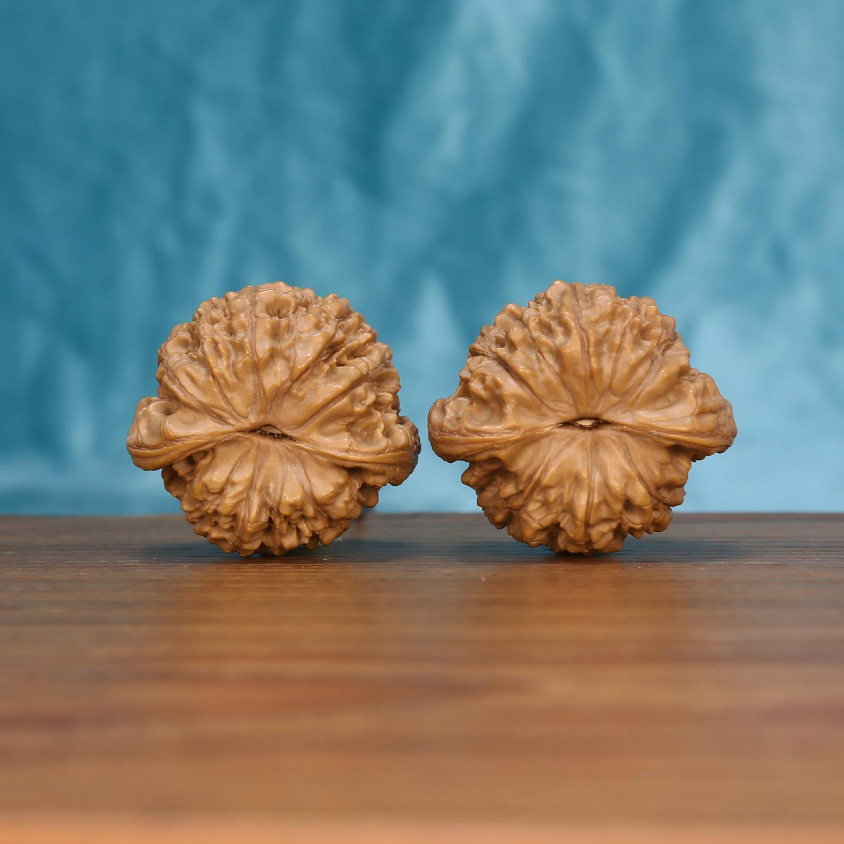 Wu-Ming wild walnut pair bottom view on wood – natural nameless wild base pattern, Sentinel's Grip premium set