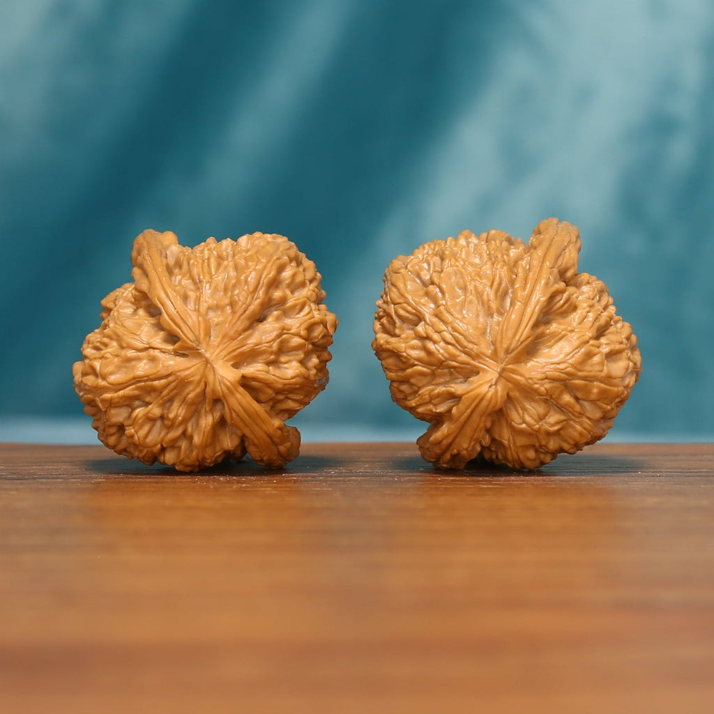 Rear view of The Golden Basin Wenwan walnuts showing natural variation and sculptural textured surfaces.
