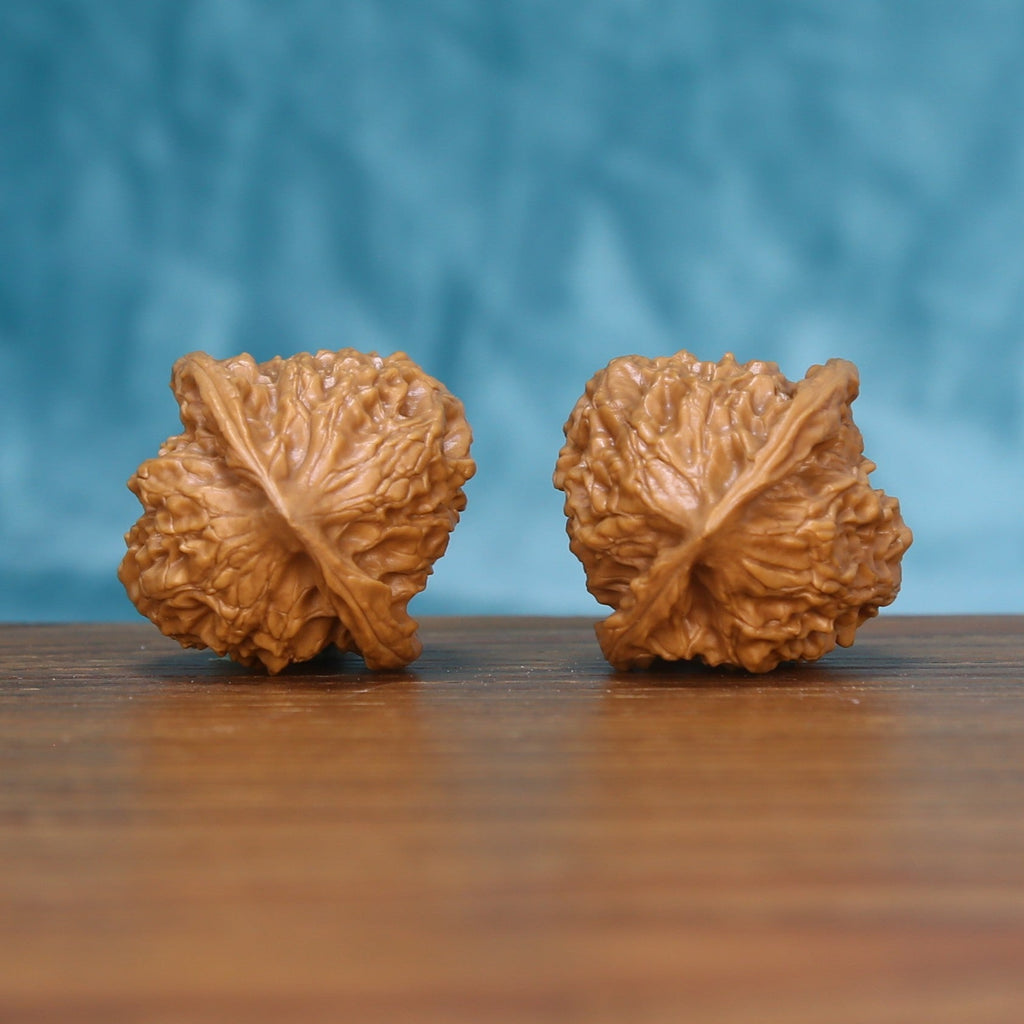 Back view of two Linglong Wenwan walnuts showing distinct natural shell patterns

