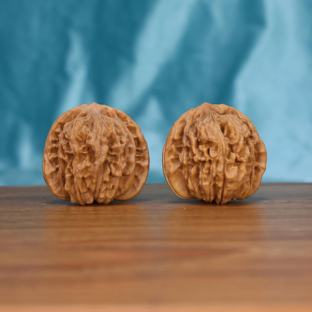 W7575 Chrysanthemum Base walnut duo front view – thick main ribs and deep layered crevice texture
