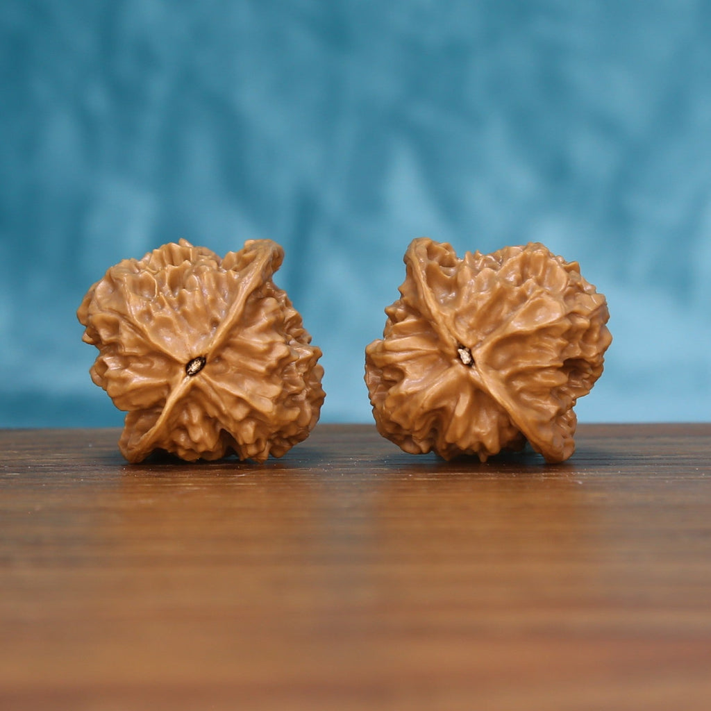 Bottom view of a matched Linglong Wenwan walnut pair showing natural base details
