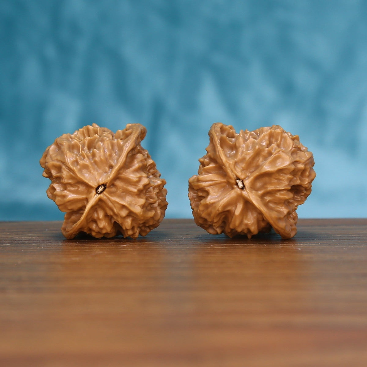 Bottom view of a matched Linglong Wenwan walnut pair showing natural base details
