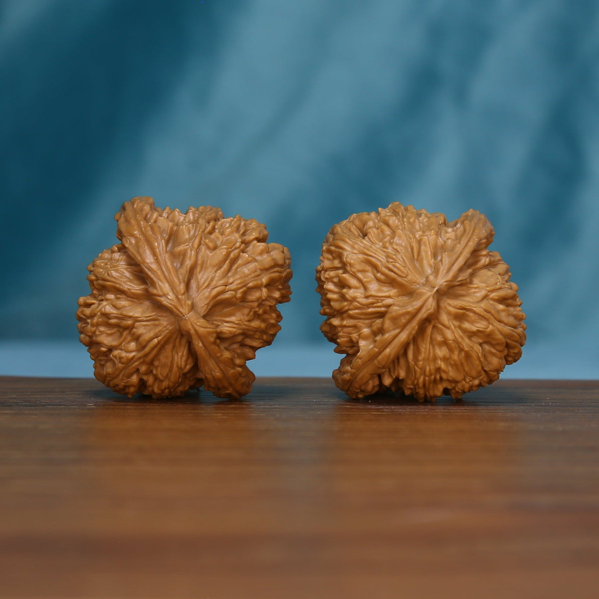 Base view of the S46 White Lion wenwan walnut pair showing radiating grooves
