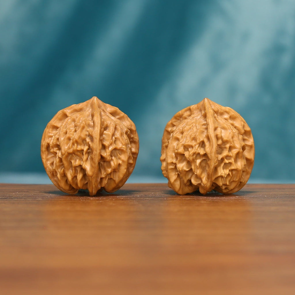 L23 Wenwan walnut matched pair displayed side by side on a wooden surface against a teal background.
