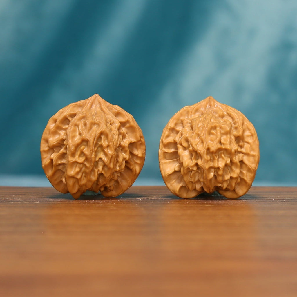 L23 Wenwan walnut pair shown from a side angle, highlighting their compact rounded forms and natural textured shells.

