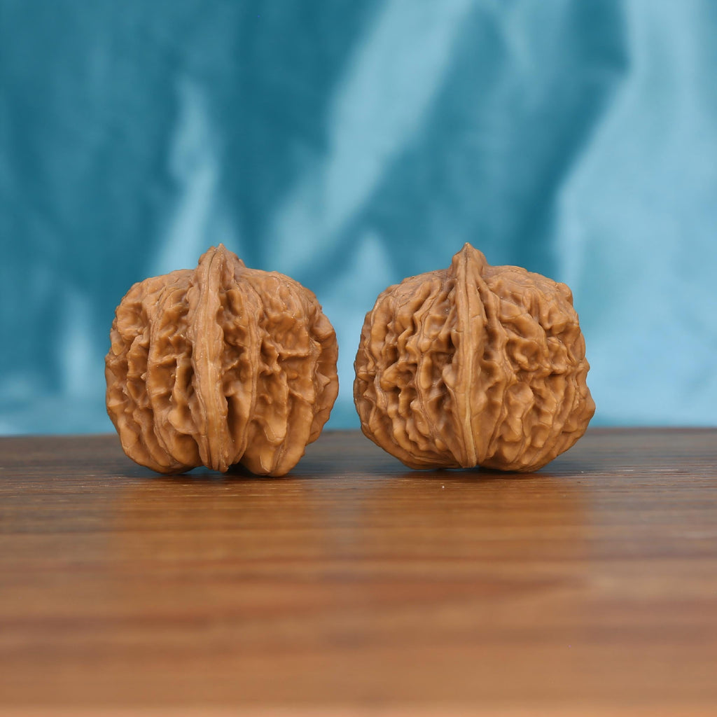 W7575 Si-Zuo-Lou walnut close-up – neat chrysanthemum bottom and distinct vein texture by mistbodhi
