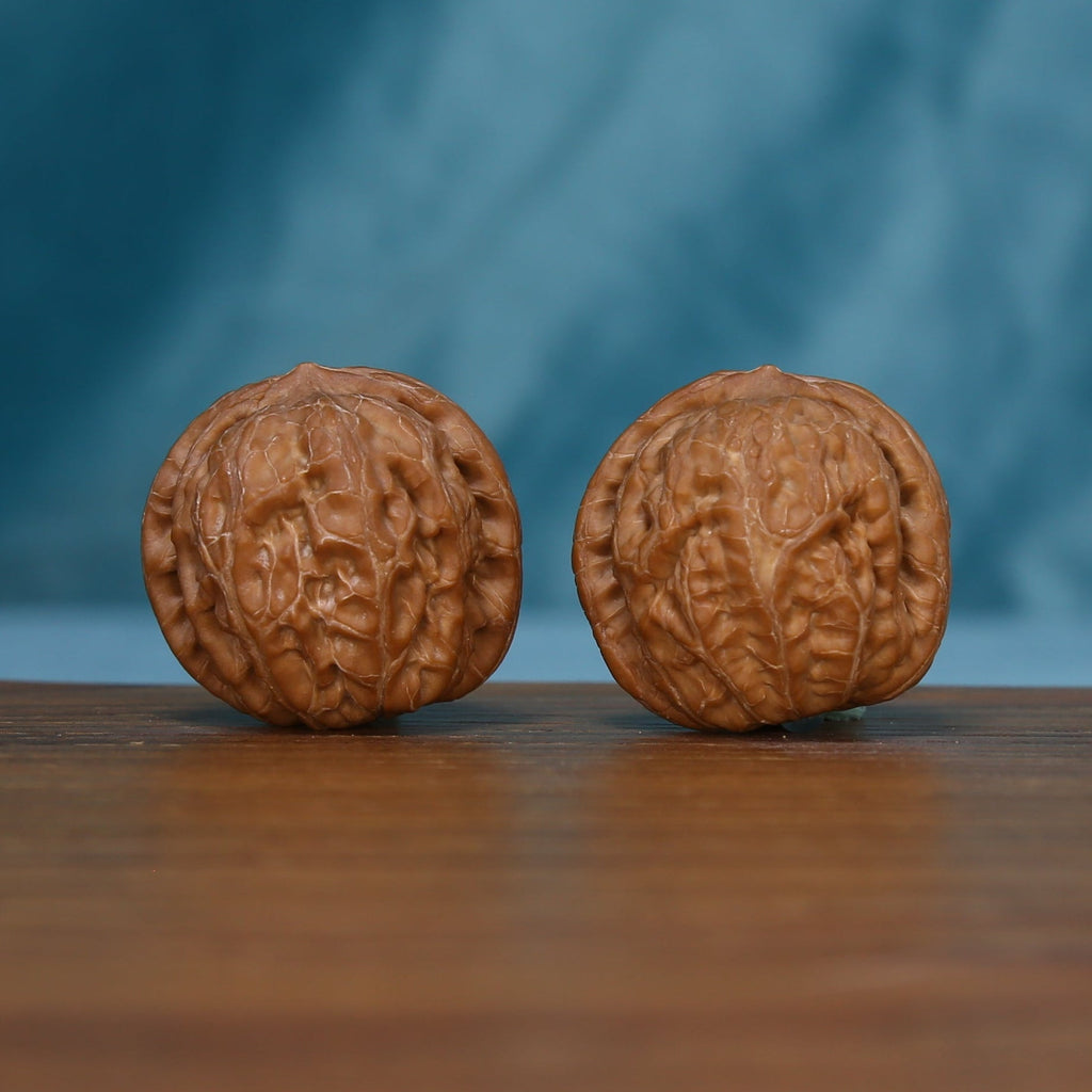 Side view of two Pinggu Yuanbao wenwan walnuts with textured brown shells, SKU 4930
