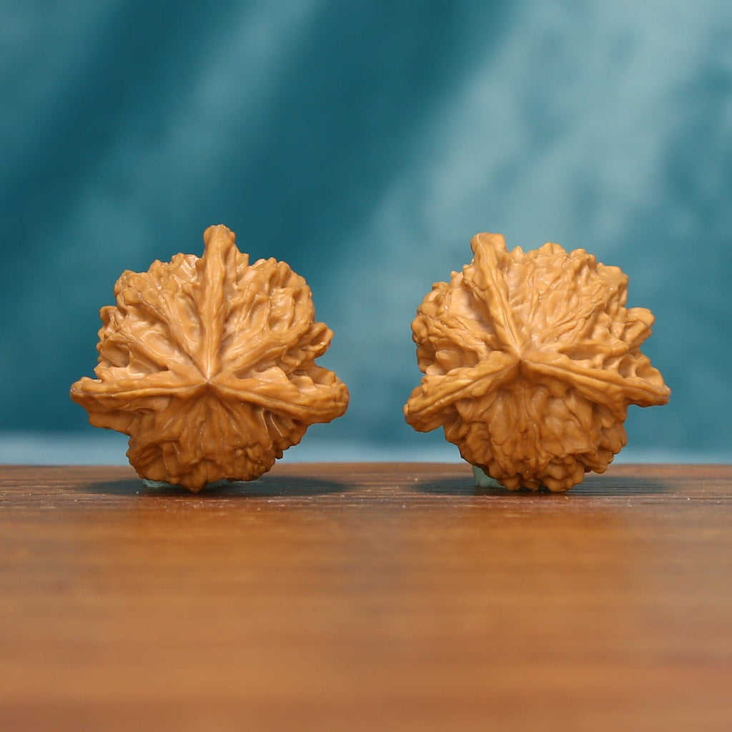 L23 Wenwan walnut pair shown from below, highlighting the flower-like base patterns and radiating ridges.
