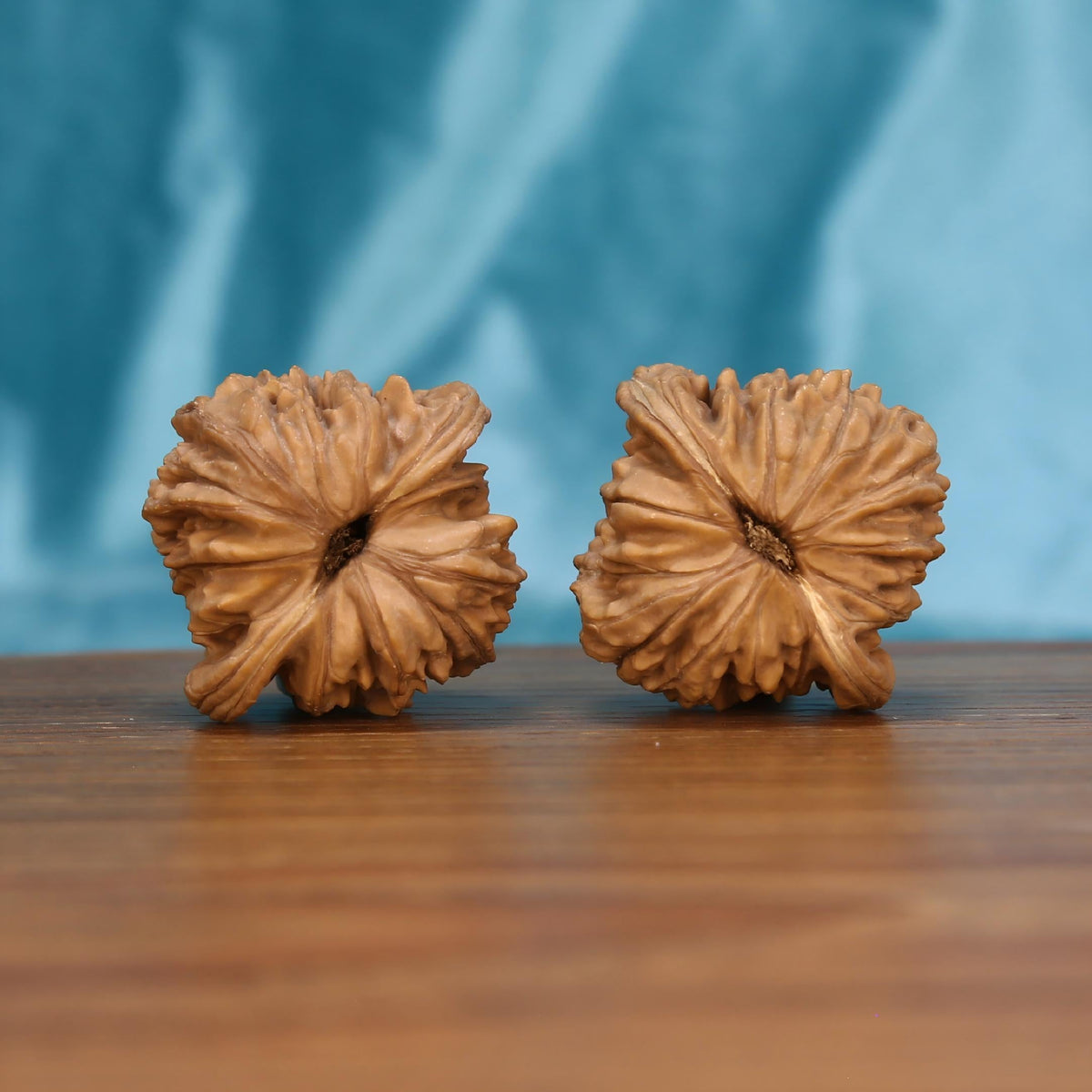 W7575 Si-Zuo-Lou walnut botanical artifacts by mistbodhi – 100% raw canvas for irreplaceable patina
