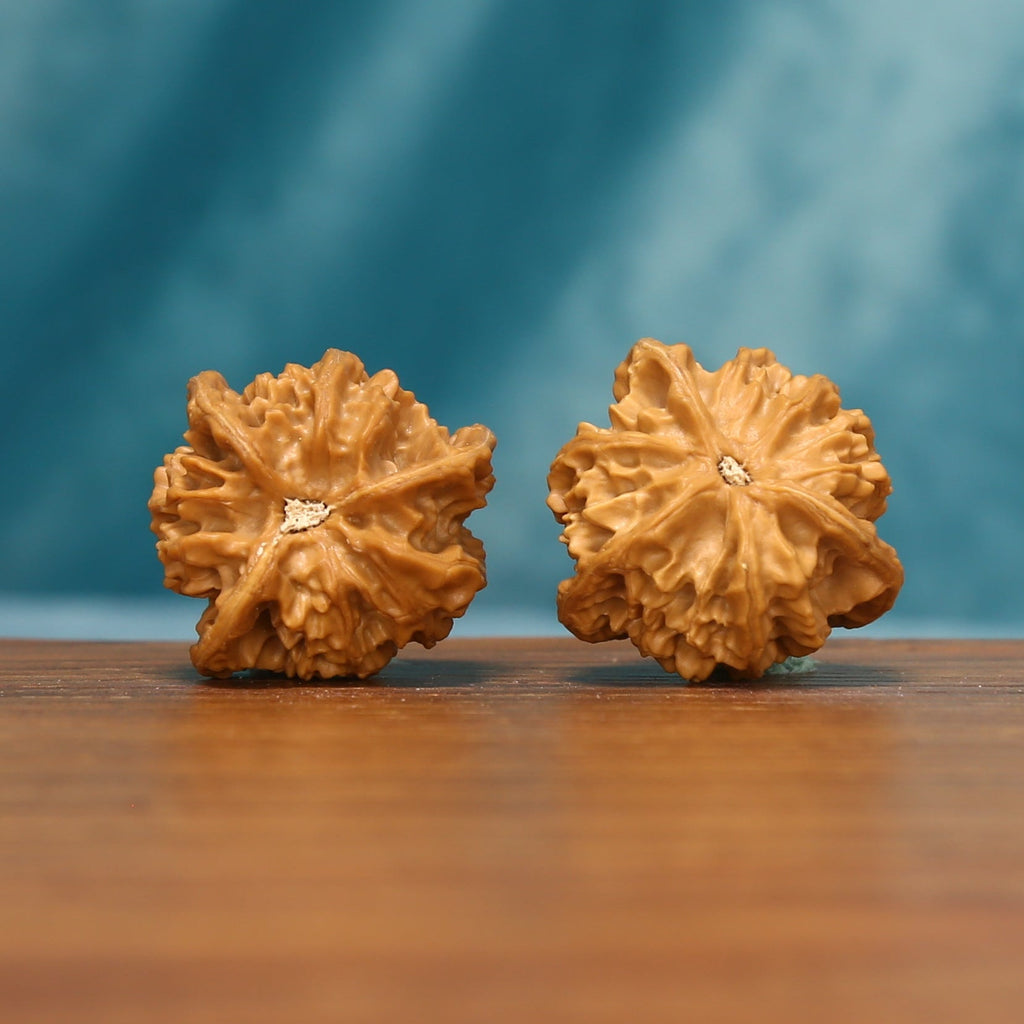 L23 Wenwan walnuts shown from an angled underside view, highlighting the natural base patterns and textured surfaces.
