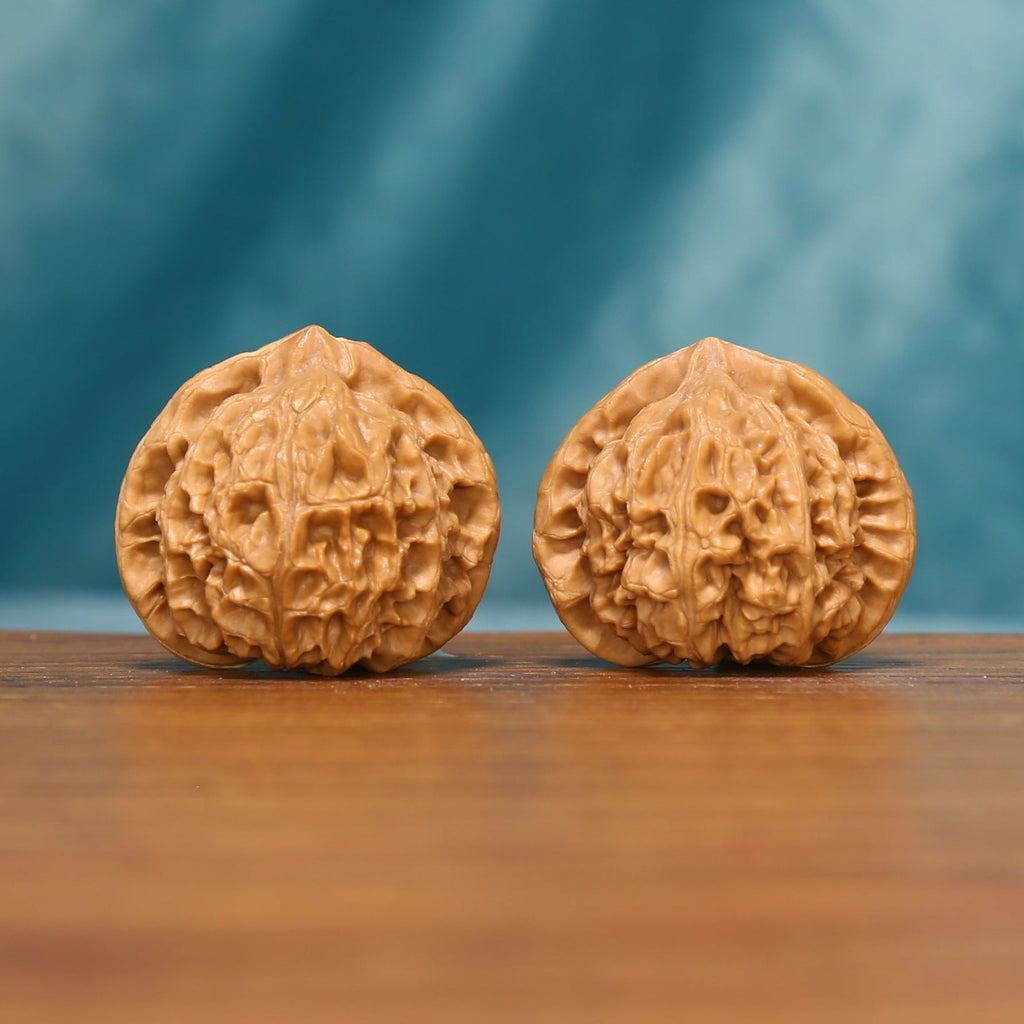 L20 Wenwan walnut matched pair displayed side by side on a wooden surface against a teal background.
