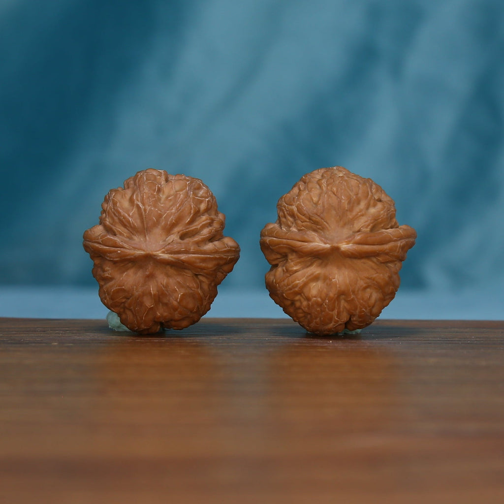 Profile view of two Pinggu Yuanbao wenwan walnuts with raised middle ridges, SKU 4930
