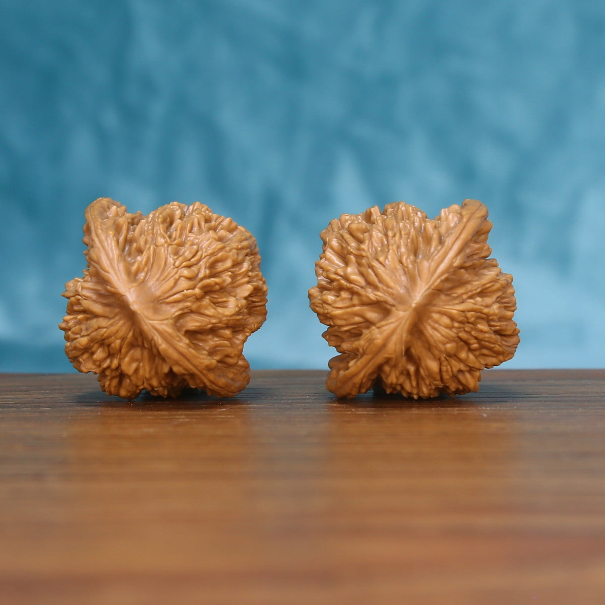 Side profile of the 6192 Wheat Tiger wenwan walnut pair showing the winged edge ridges
