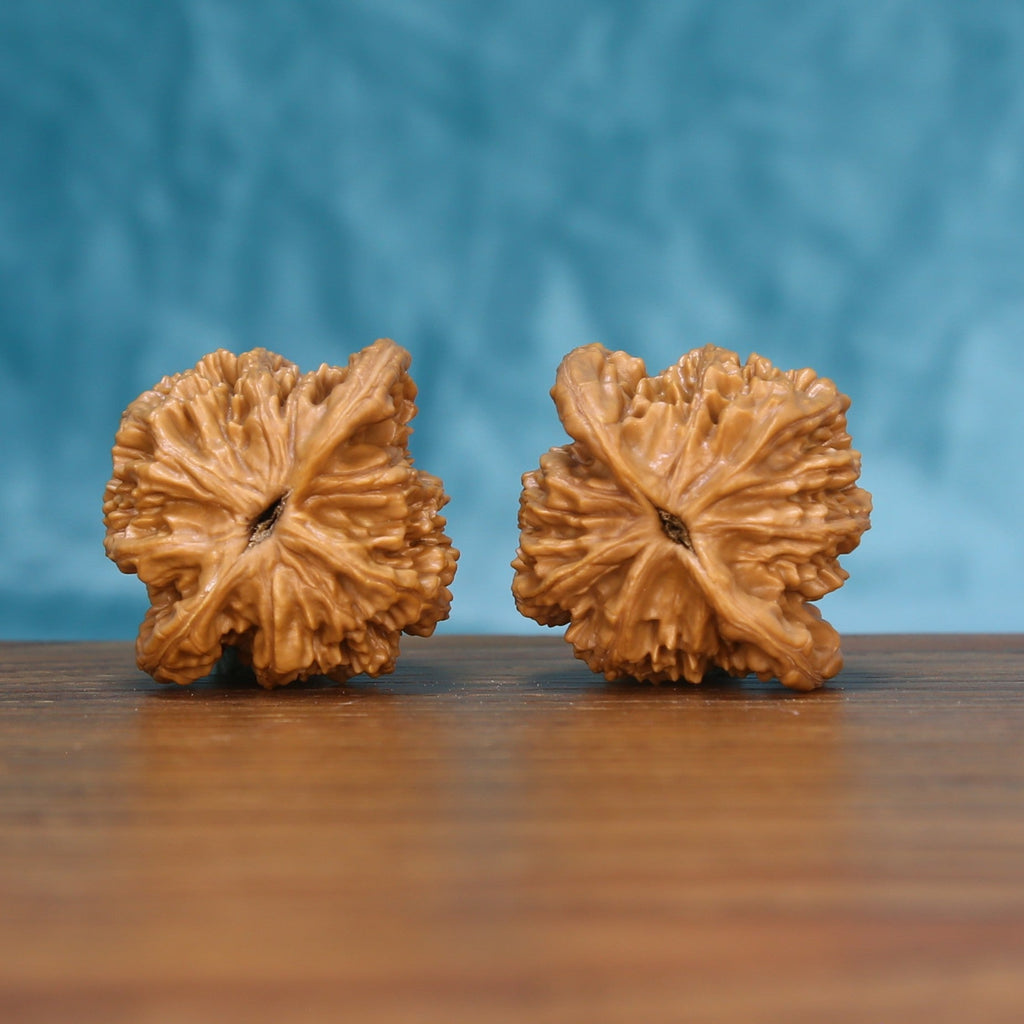 Top view of the Wheat Tiger wenwan walnut pair 6192, showing the star-shaped ridged crown of each walnut
